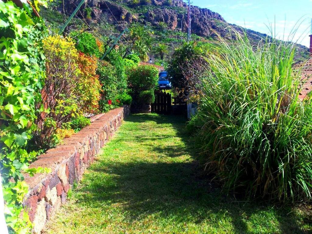 El Drago Rural House Pensionat Alajeró Rum bild